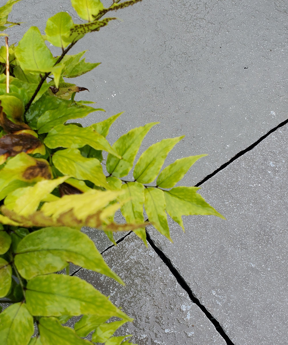 Bartley Grey Tumbled Limestone Paving - Image 2