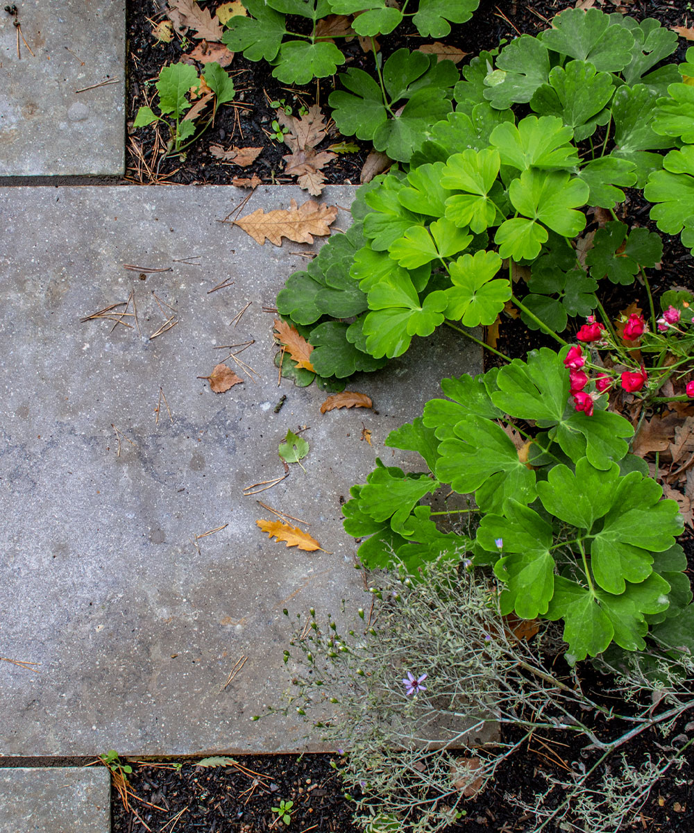 Lymington Grey Limestone Paving Wellow Hampshire