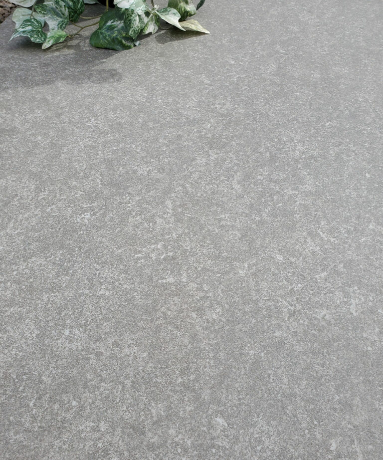 Eling Grey Porcelain Paving Forest Stone