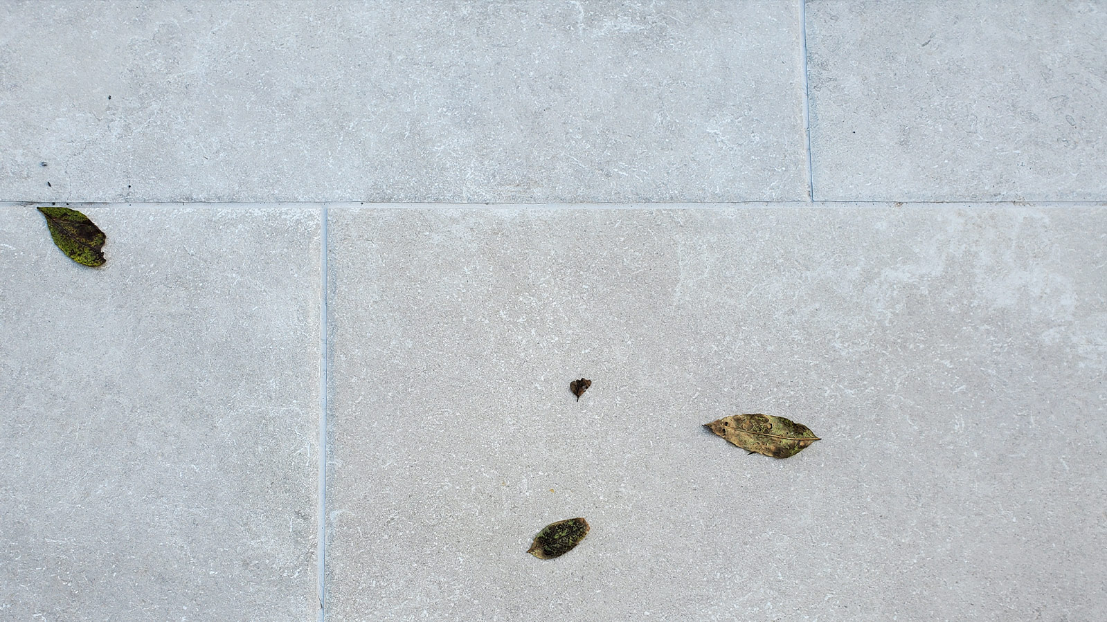 Exbury-Heritage-Tumbled-Edge-Porcelain-Tile-Southampton-Hampshire
