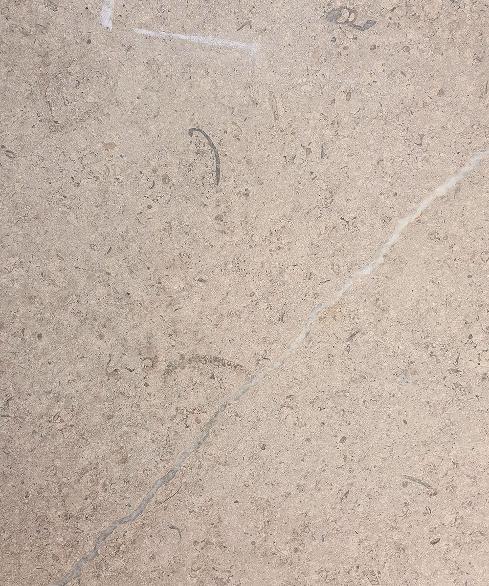 Lymington-Dune-Limestone-Fissure-Line-Example