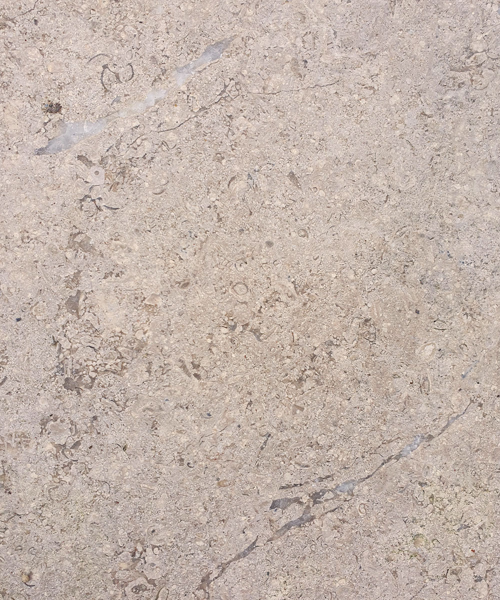 Lymington-Dune-Limestone-Fissure-Line-Example