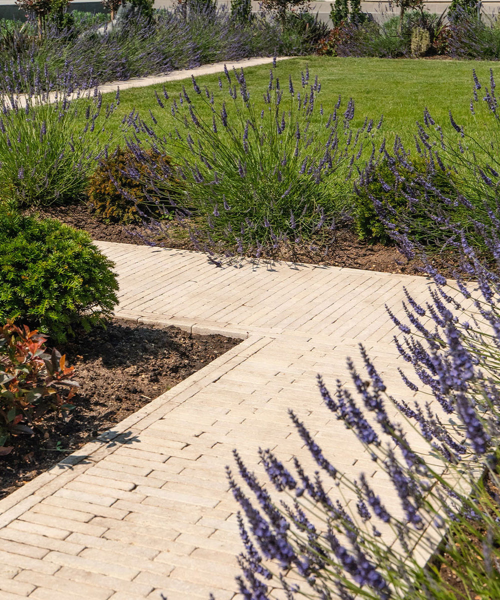 Lymington Beige Limestone Pavers Mudeford Dorset