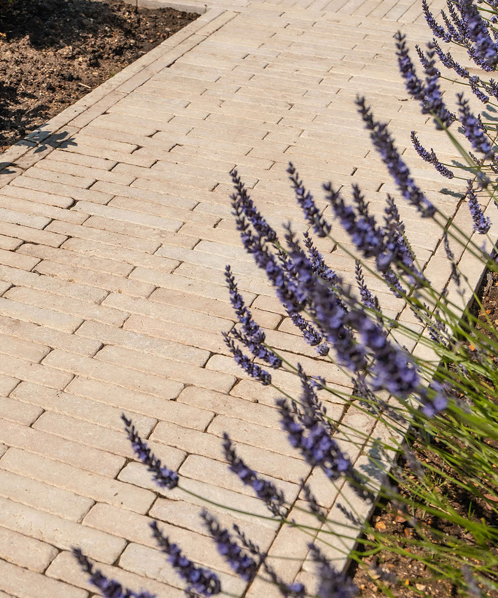 Lymington Beige Limestone Pavers Mudeford Dorset