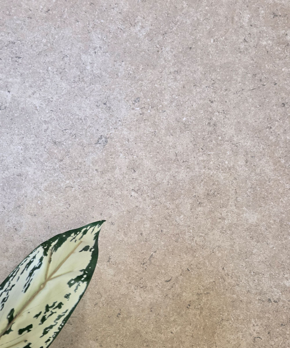 Bramshaw White External Porcelain Paving Tile