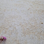 Kimmeridge-Fossil-Porcelain-Paving-Wavy-Edge